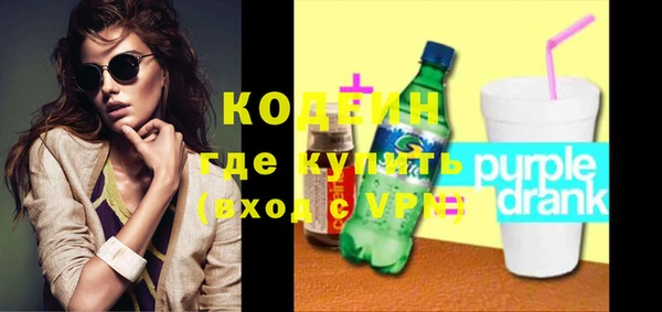 шишки Гусь-Хрустальный