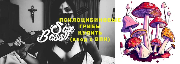 ПСИЛОЦИБИНОВЫЕ ГРИБЫ Гусев