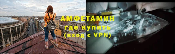 шишки Гусь-Хрустальный
