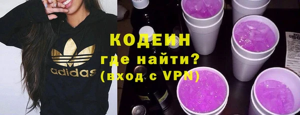 ПСИЛОЦИБИНОВЫЕ ГРИБЫ Гусев
