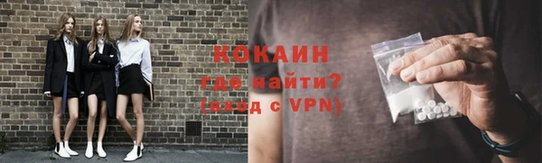 шишки Гусь-Хрустальный