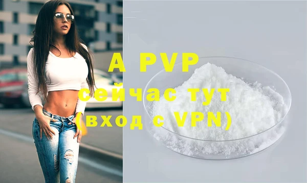 шишки Гусь-Хрустальный