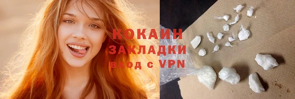 шишки Гусь-Хрустальный