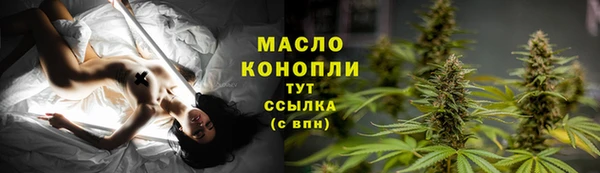 ПСИЛОЦИБИНОВЫЕ ГРИБЫ Гусев