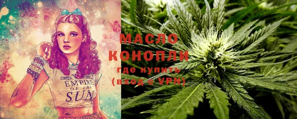 ПСИЛОЦИБИНОВЫЕ ГРИБЫ Гусев
