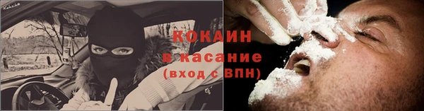 шишки Гусь-Хрустальный