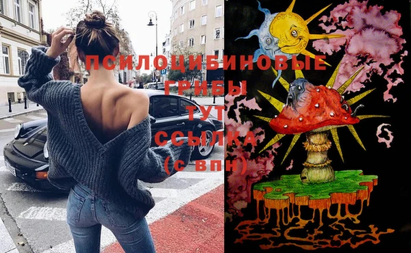ПСИЛОЦИБИНОВЫЕ ГРИБЫ Гусев