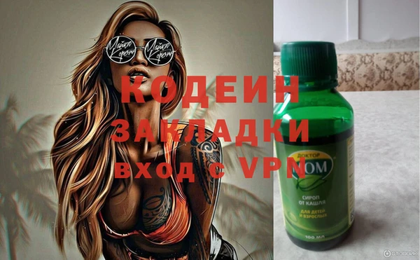 шишки Гусь-Хрустальный