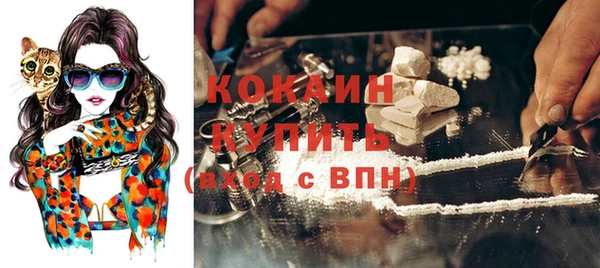 ПСИЛОЦИБИНОВЫЕ ГРИБЫ Гусев