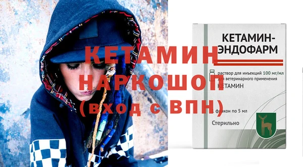шишки Гусь-Хрустальный