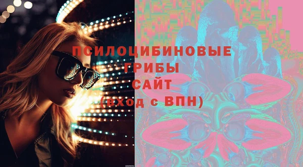 шишки Гусь-Хрустальный