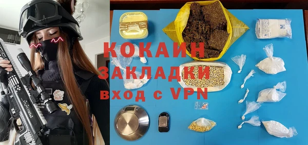 ПСИЛОЦИБИНОВЫЕ ГРИБЫ Гусев