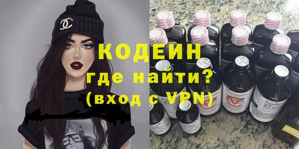 шишки Гусь-Хрустальный