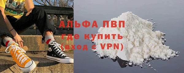 шишки Гусь-Хрустальный