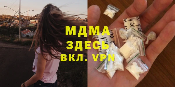 ПСИЛОЦИБИНОВЫЕ ГРИБЫ Гусев