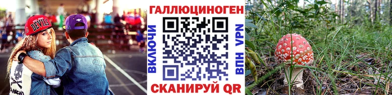 Псилоцибиновые грибы мухоморы  Купить  Новотроицк 
